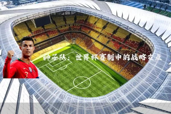 种子队:世界杯赛制中的战略支点